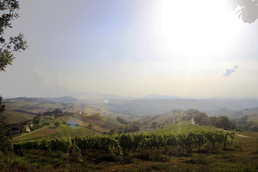 Agriturismo Fara 호텔 몬테지오르지오 외부 사진