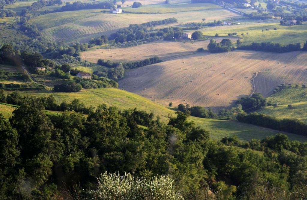 Agriturismo Fara 호텔 몬테지오르지오 외부 사진