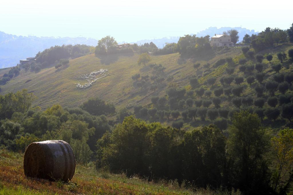 Agriturismo Fara 호텔 몬테지오르지오 외부 사진