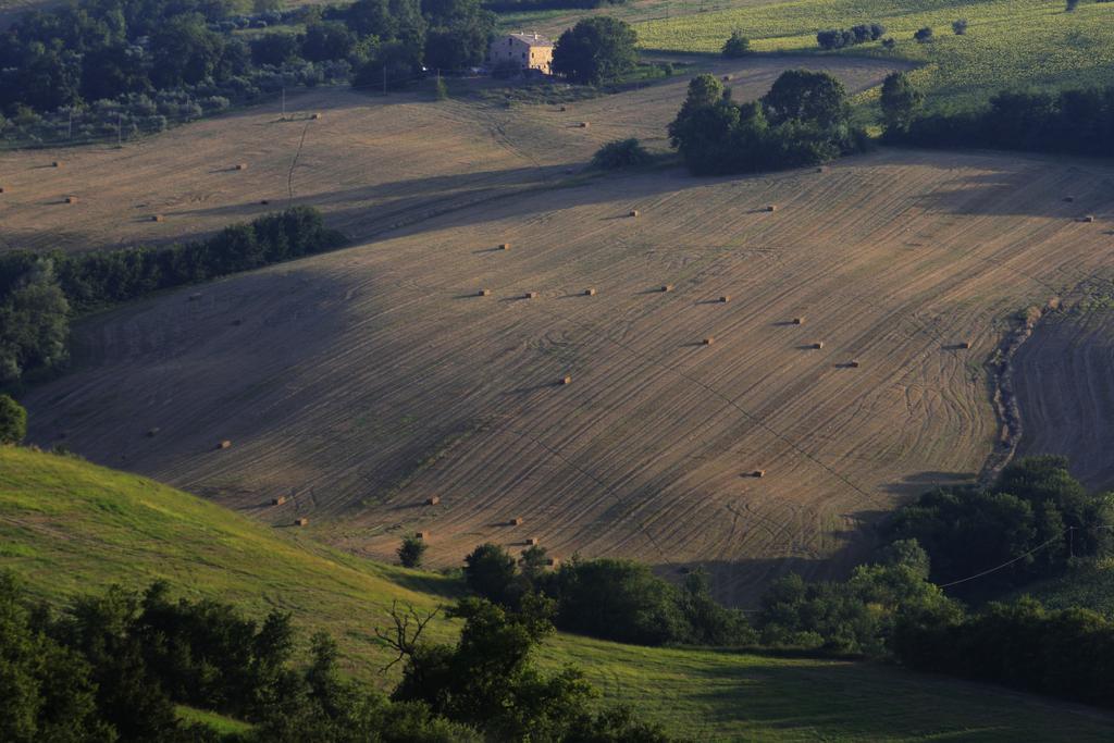 Agriturismo Fara 호텔 몬테지오르지오 외부 사진