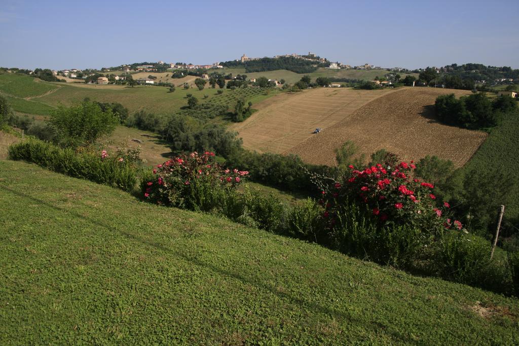Agriturismo Fara 호텔 몬테지오르지오 외부 사진