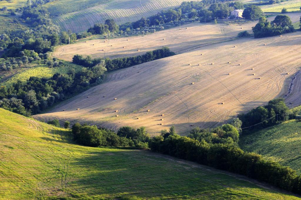 Agriturismo Fara 호텔 몬테지오르지오 외부 사진
